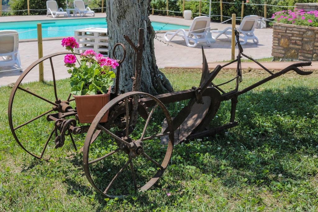 Villa Agriturismo Il Divin Casale Torgiano Exterior foto